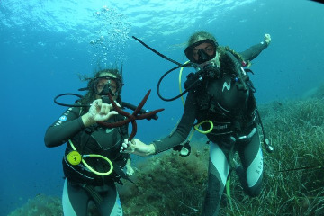 Scuba Diving (Beginners)